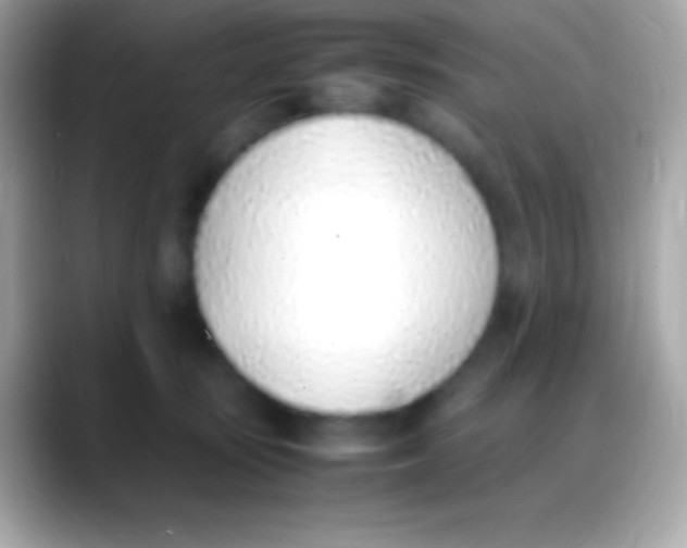 X0000088150371200706042034