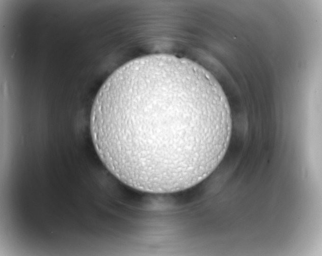 X0000088150372200706042034