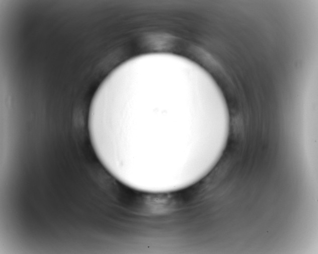 X0000088150373200706042034