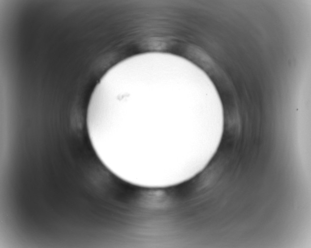 X0000088150374200706042034