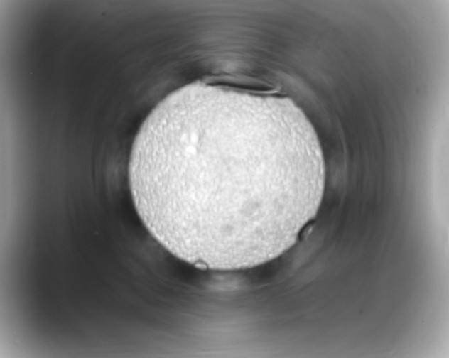 X0000088150376200706042034