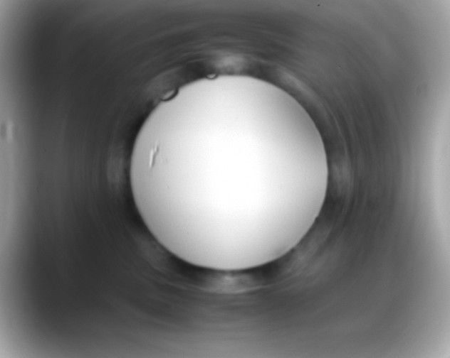 X0000088150379200706042034