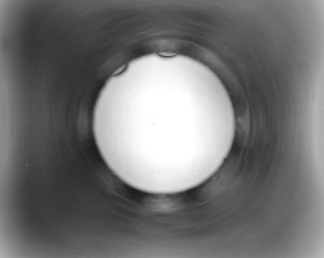 X0000088150381200706042034