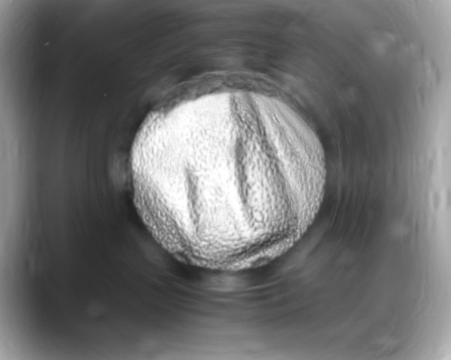 X0000088150383200706042034