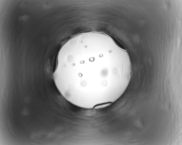 X0000088150384200706042034