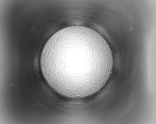 X0000088150386200706042033