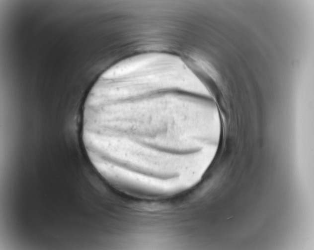 X0000088150389200706042033