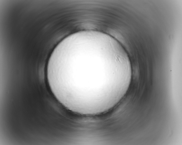 X0000088150390200706042033