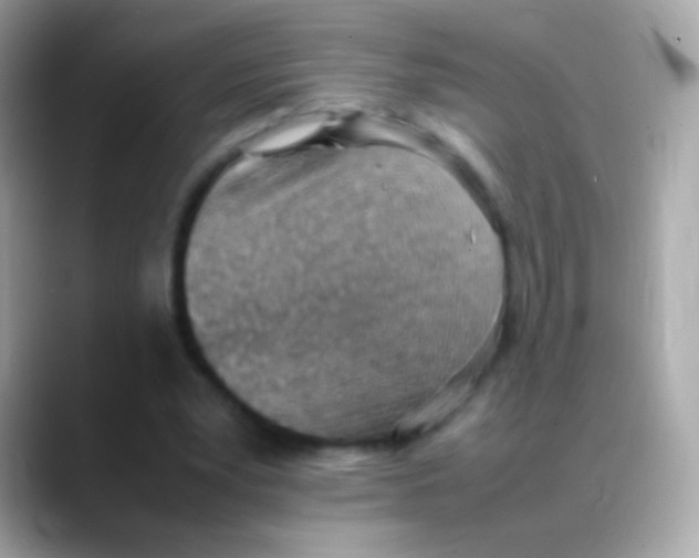 X0000088150391200706042033