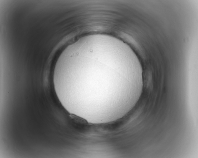 X0000088150392200706042033