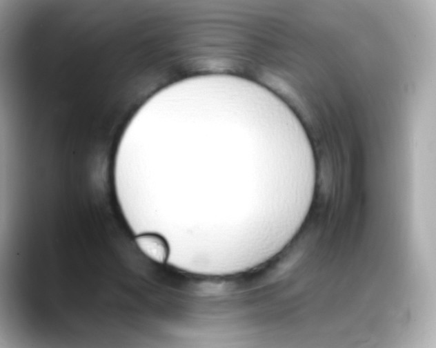 X0000088150394200706042033