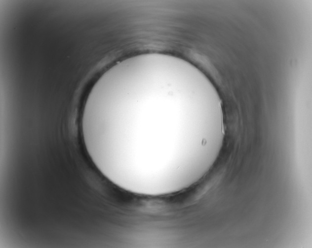 X0000088150395200706042033