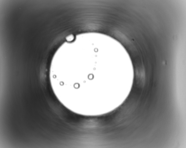 X0000088150396200706042033