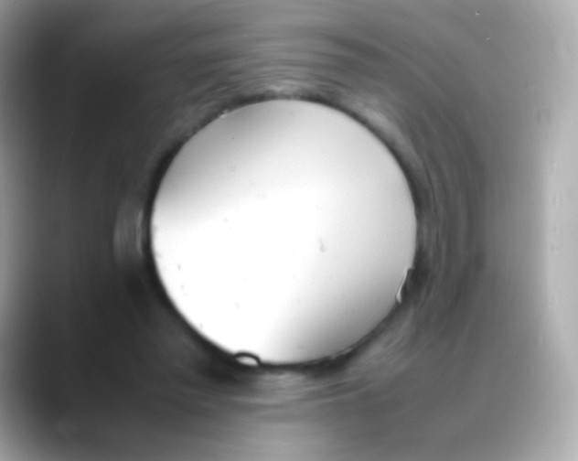 X0000088150397200706042033