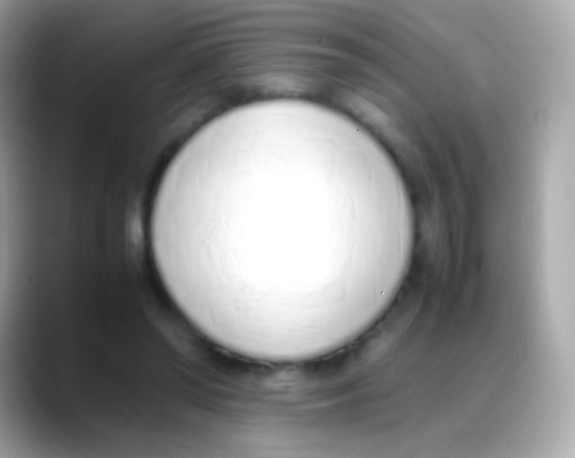 X0000088150398200706042033