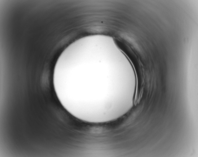 X0000088150400200706042033