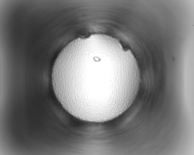 X0000088150402200706042033