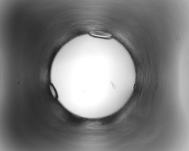 X0000088150403200706042033