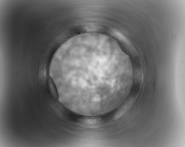 X0000088150405200706042033