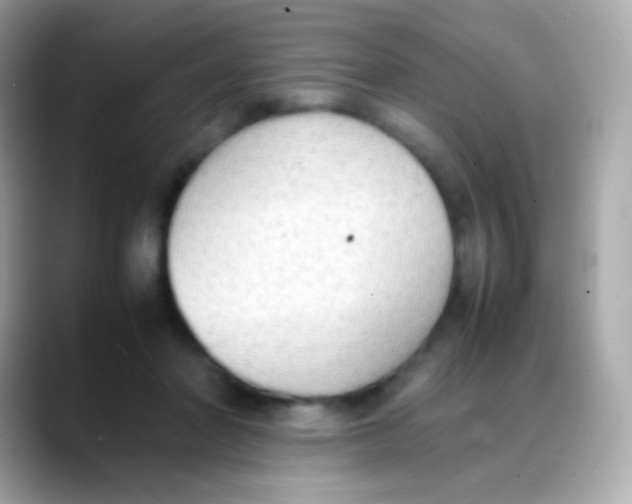 X0000088150406200706042033