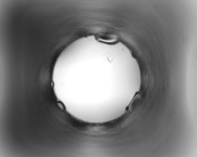 X0000088150407200706042033