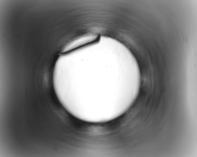 X0000088150408200706042033