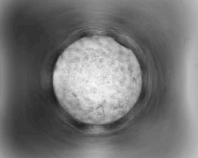 X0000088150409200706042033