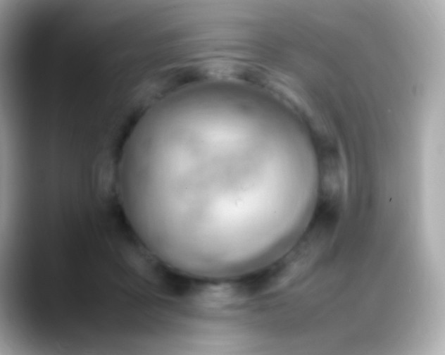 X0000088150411200706042033