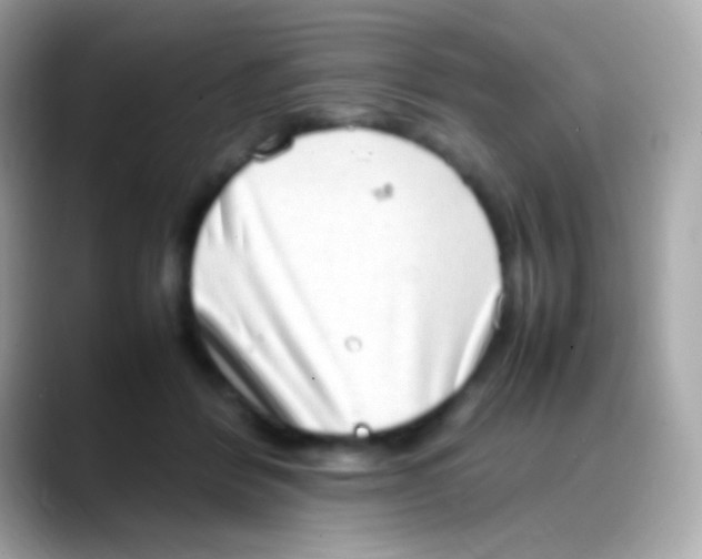 X0000088150412200706042033