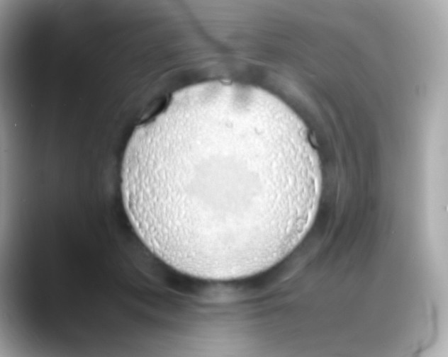 X0000088150413200706042033