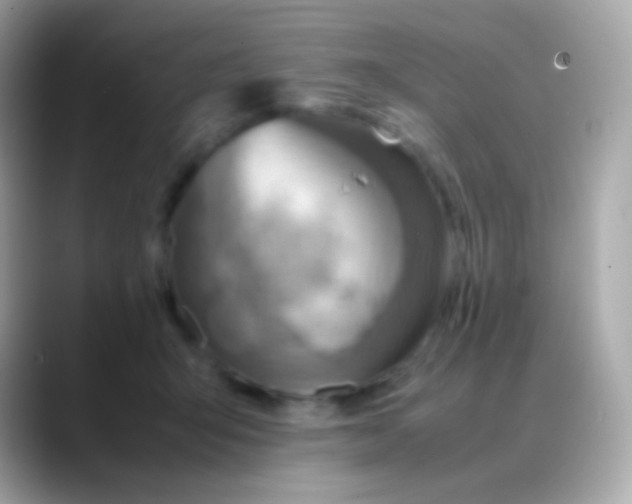 X0000088150415200706042033