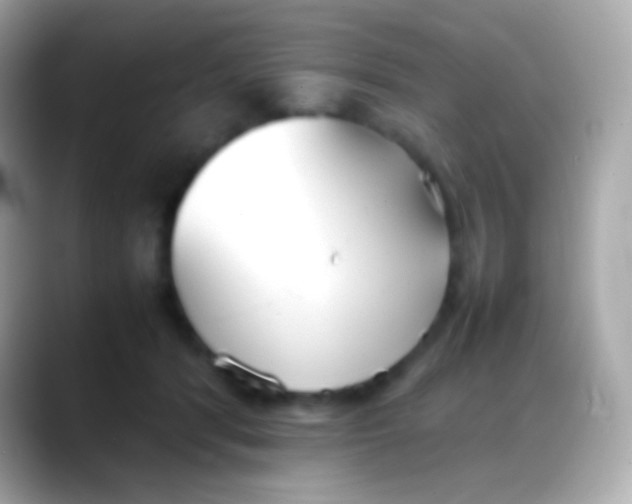 X0000088150416200706042033