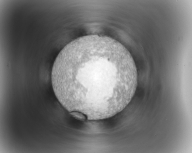 X0000088150417200706042033