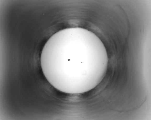 X0000088150418200706042033