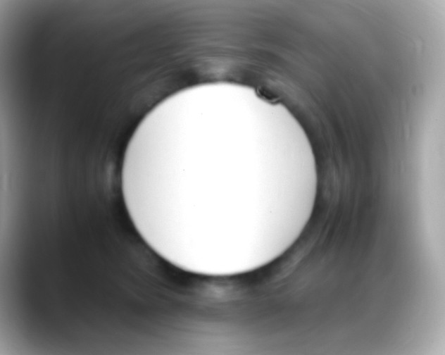 X0000088150420200706042033