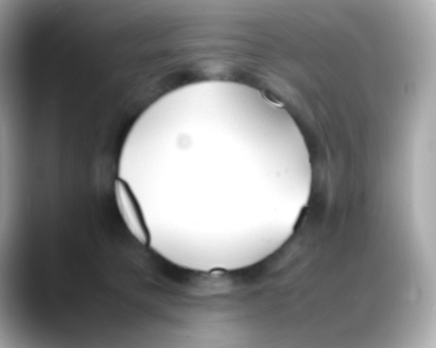 X0000088150421200706042033