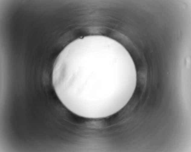 X0000088150422200706042033