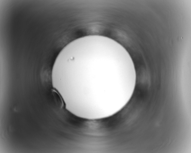 X0000088150425200706042033