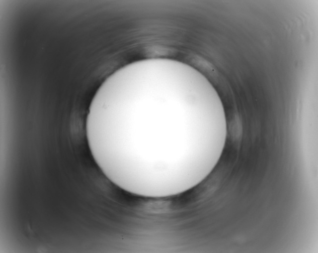 X0000088150426200706042033