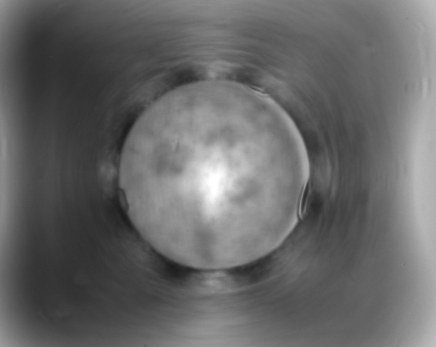 X0000088150427200706042033