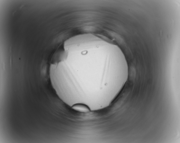 X0000088150428200706042033