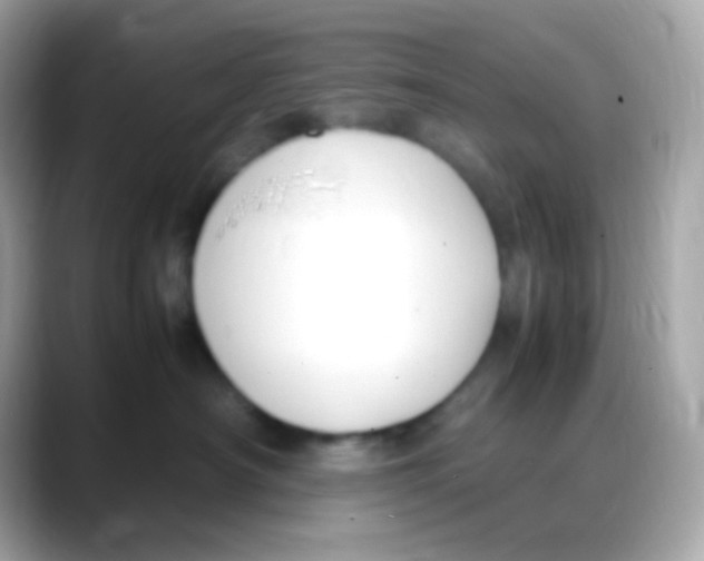 X0000088150430200706042033