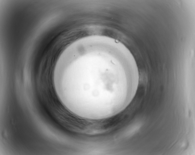 X0000088150431200706042033