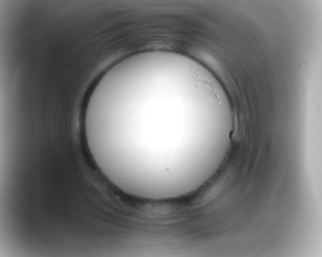 X0000088150435200706042032