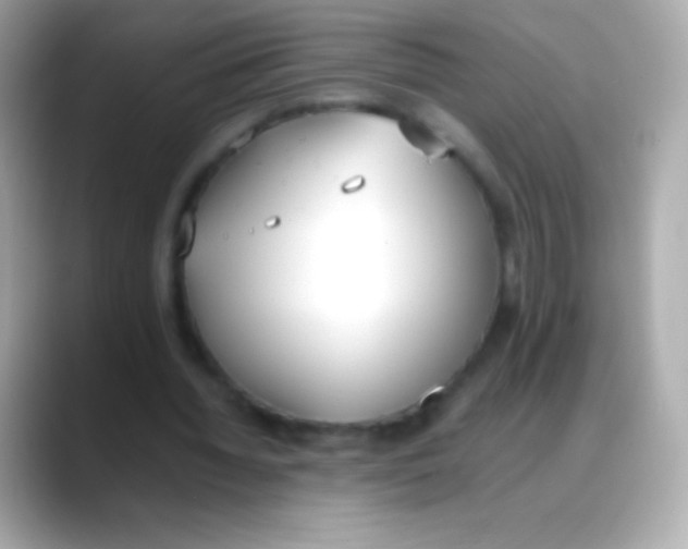 X0000088150436200706042032