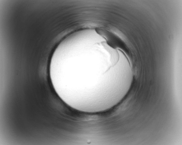 X0000088150438200706042032