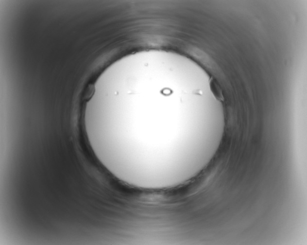 X0000088150440200706042032