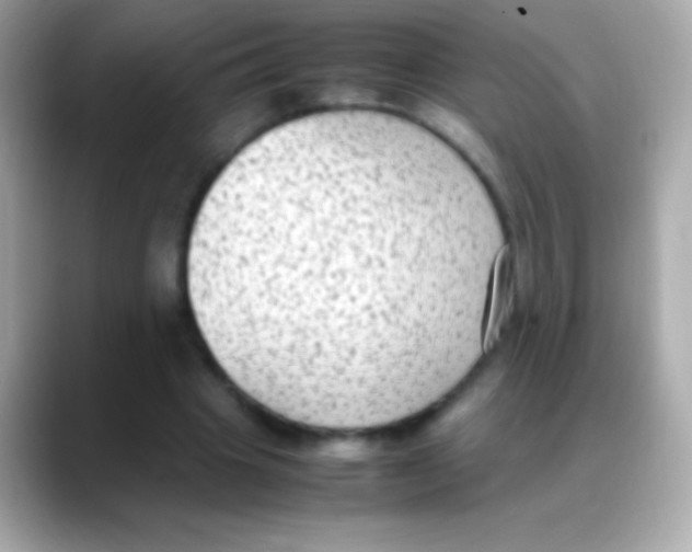 X0000088150441200706042032