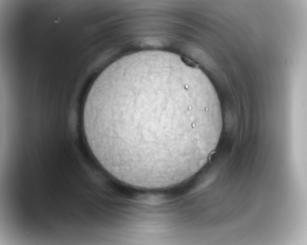 X0000088150444200706042032