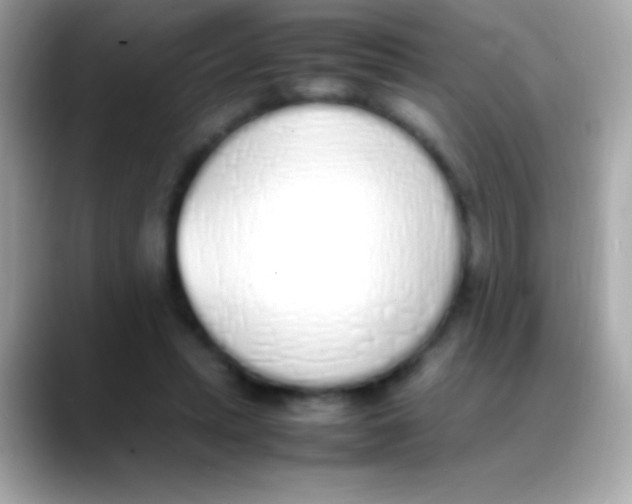 X0000088150447200706042032